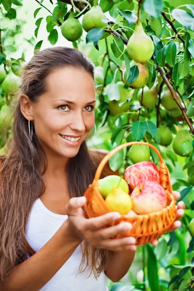 Linda senhora no jardim com maçãs e peras no berço — Fotografia de Stock