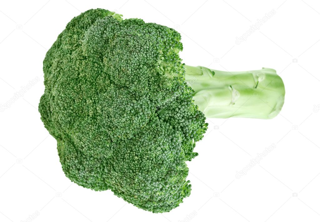 Fresh green broccoli cabbage head with stalk isolated on white