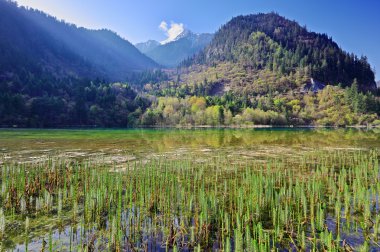 dağ gölü sabah jiuzhaigou Vadisi, sichuan, Çin