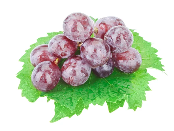Bando de uvas vermelhas com gotas de água isoladas em branco — Fotografia de Stock
