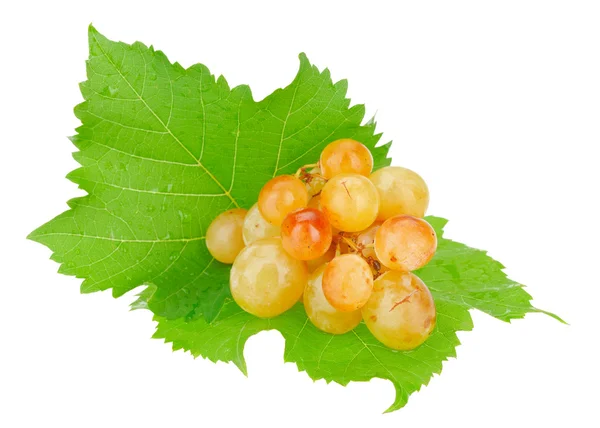 Bunch White Grapes Water Drops Isolated White — Stock Photo, Image