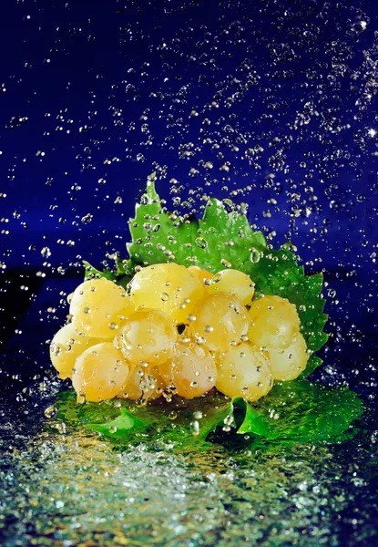 Ramo de uvas blancas con hojas verdes y agua en movimiento detenido —  Fotos de Stock
