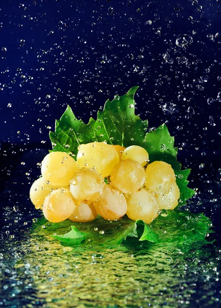 Bunch of white grapes with green leaves and stopped motion water — Stock Photo, Image