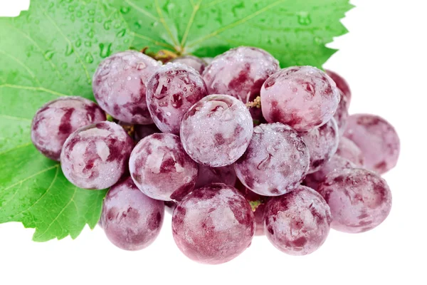 Bunch Red Grapes Water Drops Isolated White — Stock Photo, Image