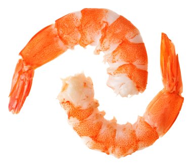 Two cooked unshelled tiger shrimps clipart