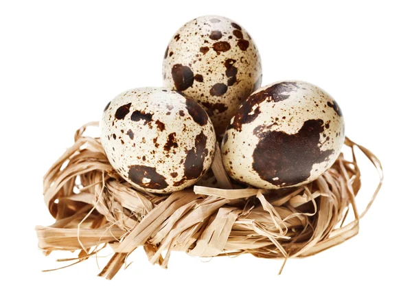 Some Quail Eggs Straw Nest Isolated White — Stock Photo, Image