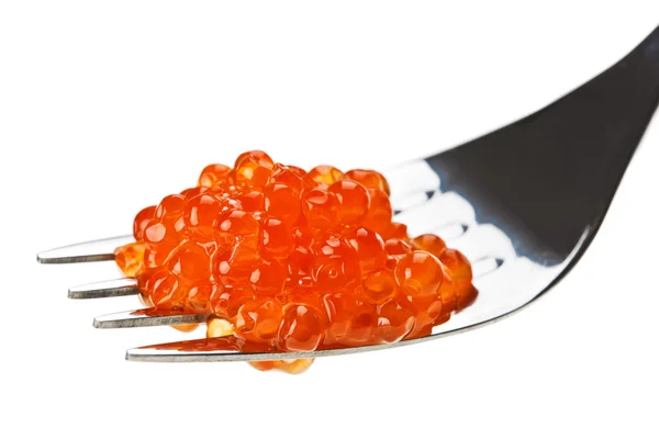 Röd lax kaviar heap på metall gaffel — Stockfoto