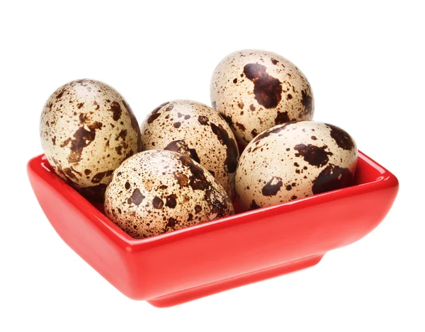 Niektóre jaja przepiórcze w red square płyta — Zdjęcie stockowe