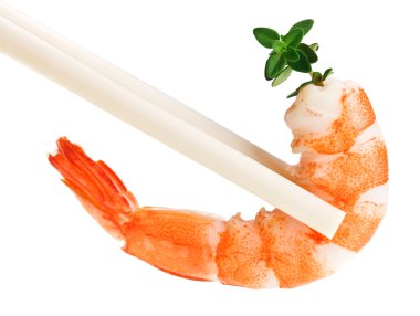 Cooked tiger shrimp with thyme twig in chopsticks, isolated on white clipart