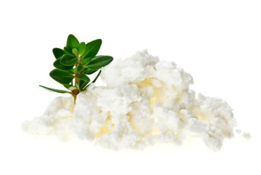 Cottage cheese (curd) heap with thyme twig, isolated on white clipart