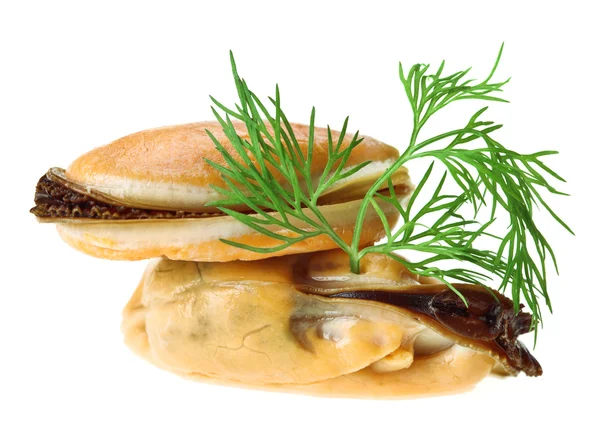 Zwei gekochte ungeschälte Muscheln mit Dillzweig — Stockfoto