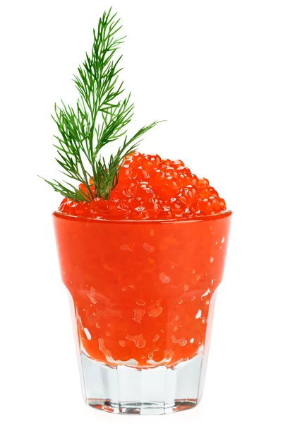Rode zalm kaviaar in een glas met dille takje — Stockfoto