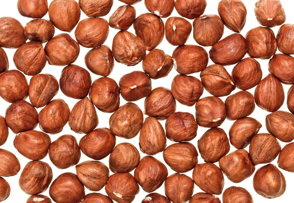 Kacang hazel yang tidak dikupas diisolasi pada warna putih, latar belakang makanan — Stok Foto