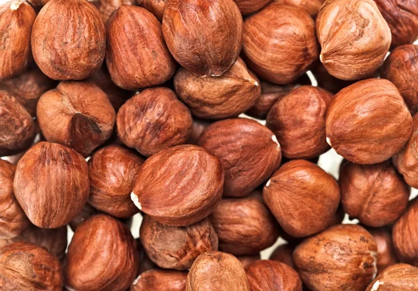 Unshelled hazel noten geïsoleerd op wit, voedsel achtergrond — Stockfoto