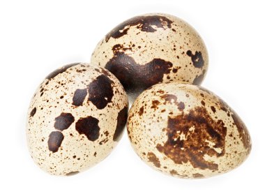 Three quail eggs isolated on white super macro view, extremely h clipart