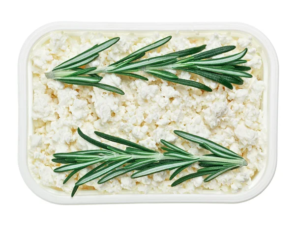 Cottage cheese curd in square plate with rosemary twig — Stock Photo, Image