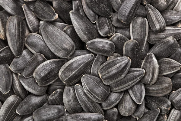Shelled sunflower seeds, food background — Stock Photo, Image