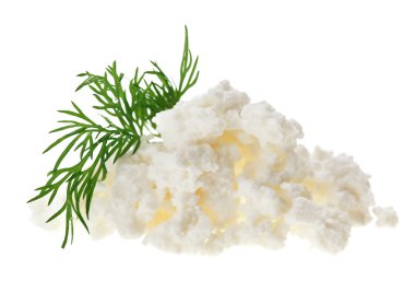 Cottage cheese curd heap with dill twig clipart