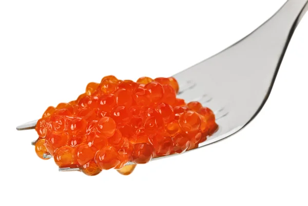Red salmon caviar heap on metal fork — Stock Photo, Image