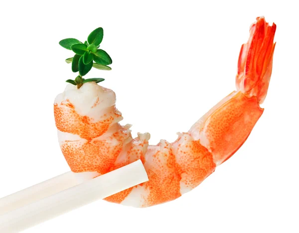 Cooked tiger shrimp with thyme twig in chopsticks — Stock Photo, Image