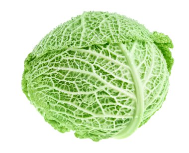 Fresh green cabbage head clipart