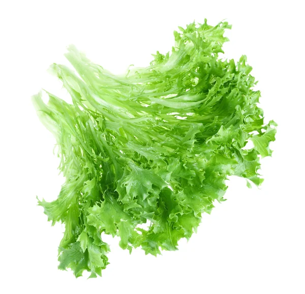 Fresh green lettuce leafs isolated on white background — Stock Photo, Image