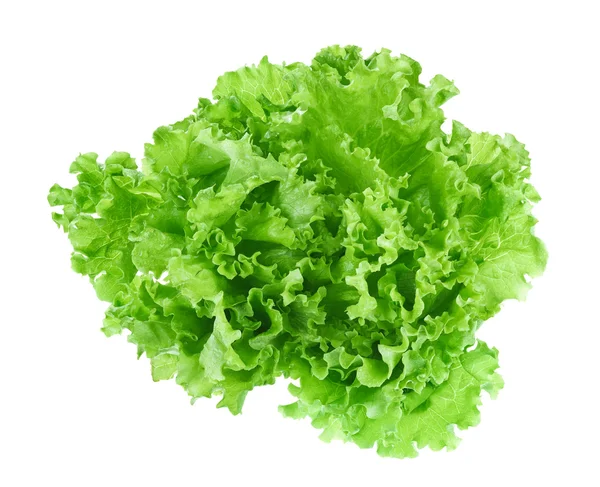 Friss zöld saláta levelek a elszigetelt fehér háttér — Stock Fotó
