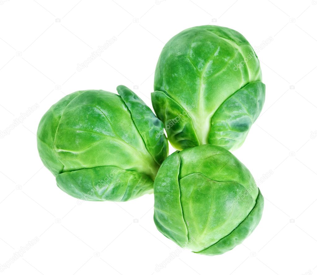 Three brussels sprouts heads isolated on white, food background