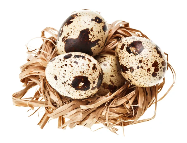 Alguns ovos de codorniz no ninho de palha — Fotografia de Stock
