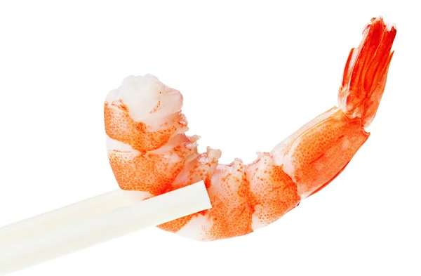 Cooked unshelled tiger shrimp in chopsticks — Stock Photo, Image