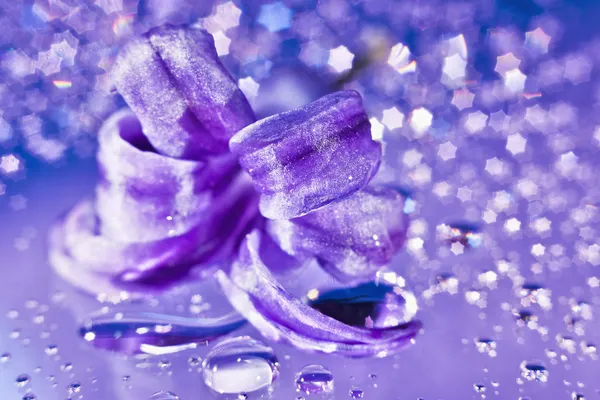 穏やかな紫の色と少女ヒアシンスの花のある静物 — ストック写真