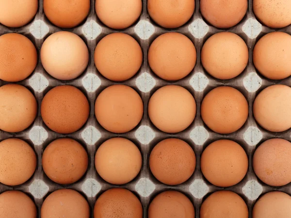 Куряче яйце — стокове фото