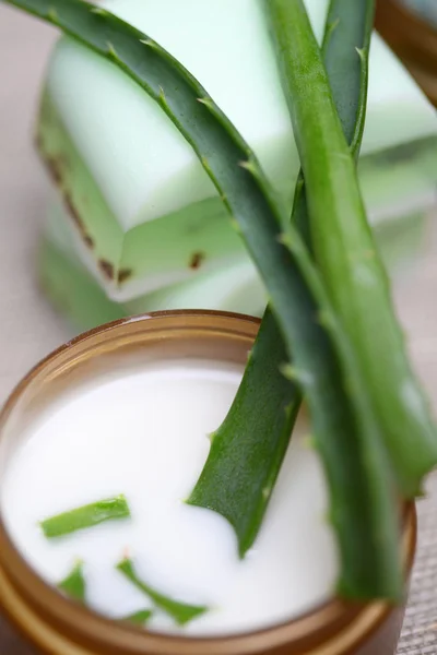 Aloe vera levél, kézzel készített szappan — Stock Fotó