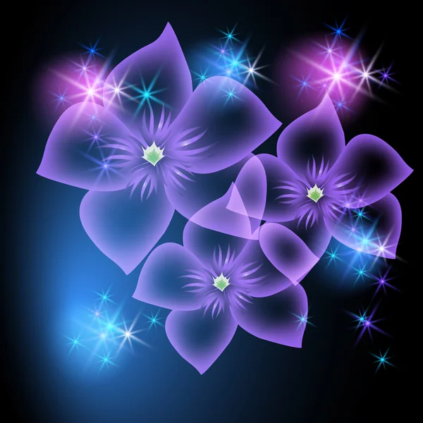 Transparante bloemen en sterren — Stockvector