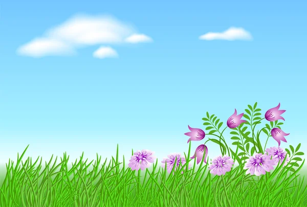 Fleurs Prairie Avec Herbe Verte Ciel Bleu Avec Nuages — Image vectorielle