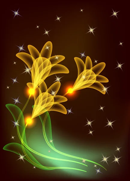 Flores Estrellas Mágicas Transparentes — Vector de stock