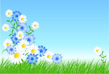 Cornflowers, camomiles with green grass and blue sky clipart