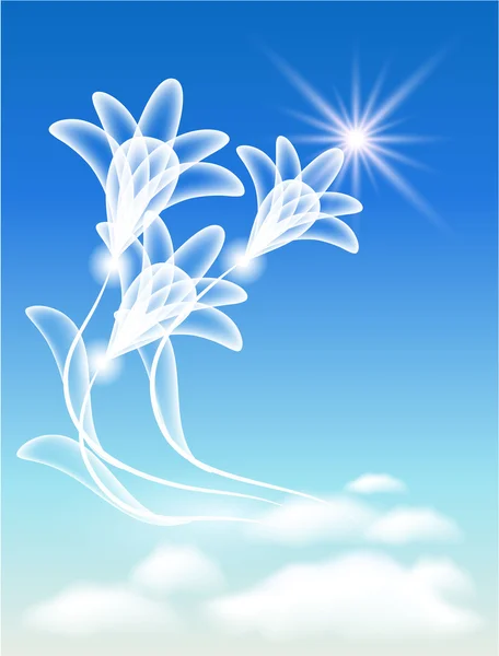 Transparent flowers in the clouds — Stock Vector