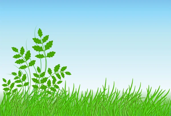 Луговая трава — стоковый вектор