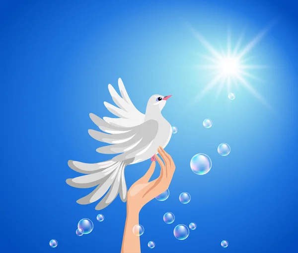 Pigeon sur une main et soleil contre ciel bleu . — Image vectorielle