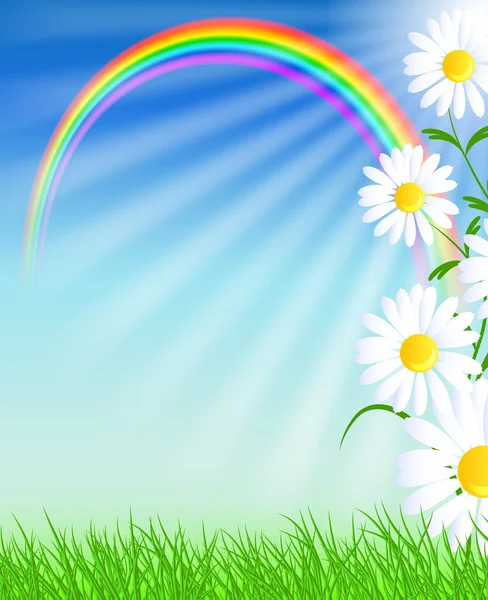 Camomiles s trávou a rainbow — Stockový vektor