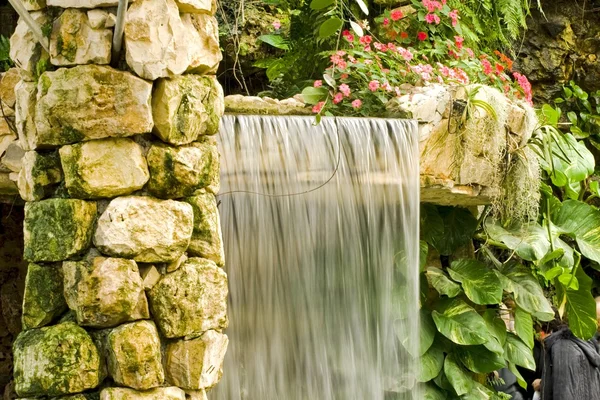 stock image Falls among tropical trees in park the Utopia, Israel