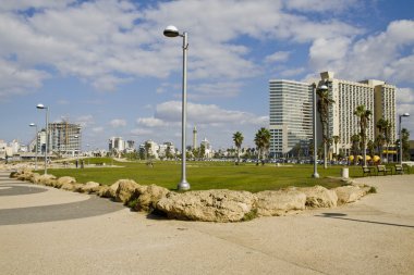 Prospect of quay of TelAviv clipart