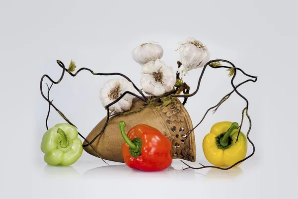 Composition Red Yellow Green Pepper Garlic Branches — Stock Photo, Image