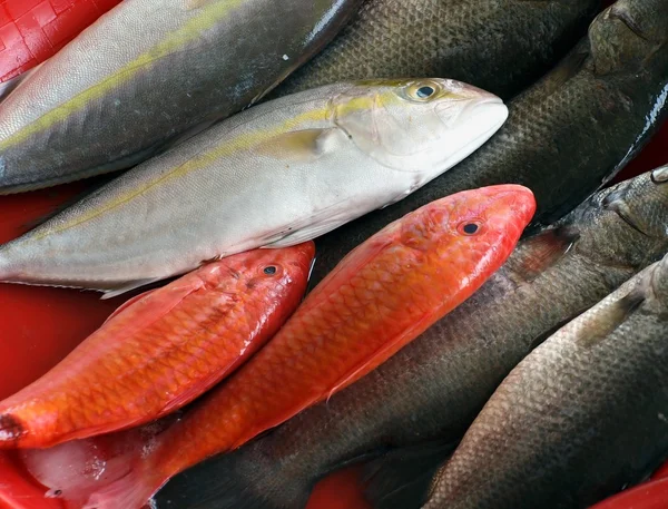 Fiskmarknaden i taiwan — Stockfoto