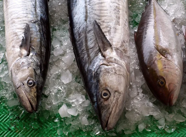 Mercato del pesce a Taiwan — Foto Stock