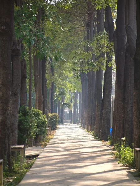 Nasłonecznionych ścieżki w parku — Zdjęcie stockowe