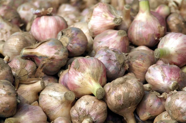 Fresh Garlic for Sale — Stock Photo, Image
