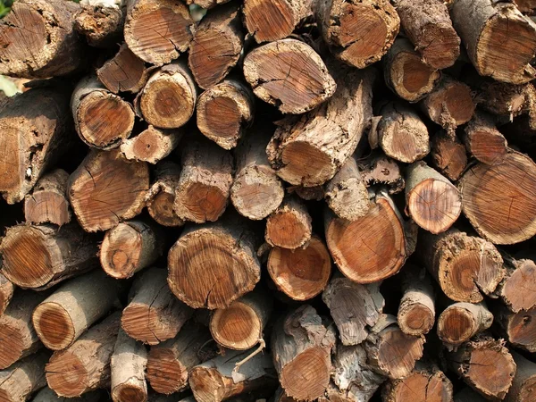 Grote stapel brandhout — Stockfoto