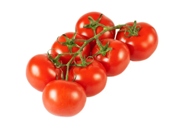 Tomates à branche — Photo